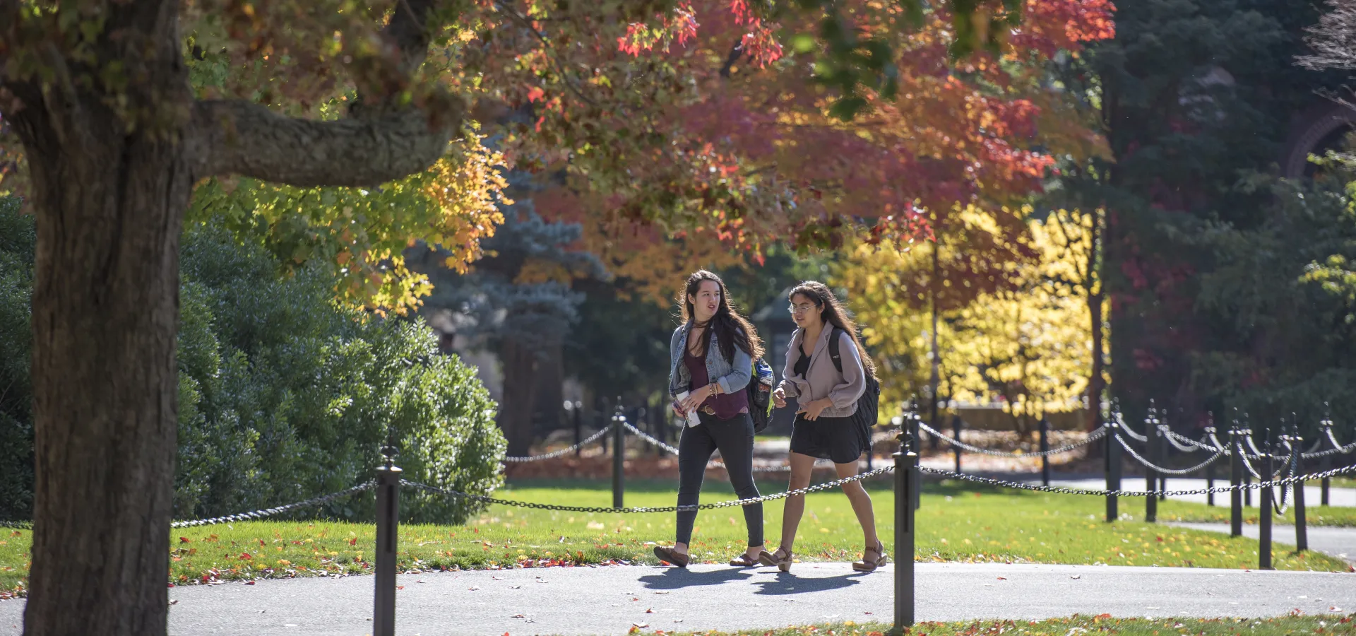 Two students walking down a campus path.