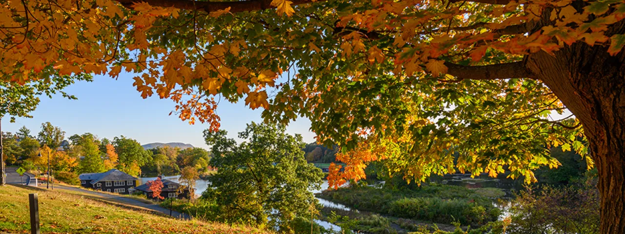 Fall campus scene of colorful tree and Paradise pond