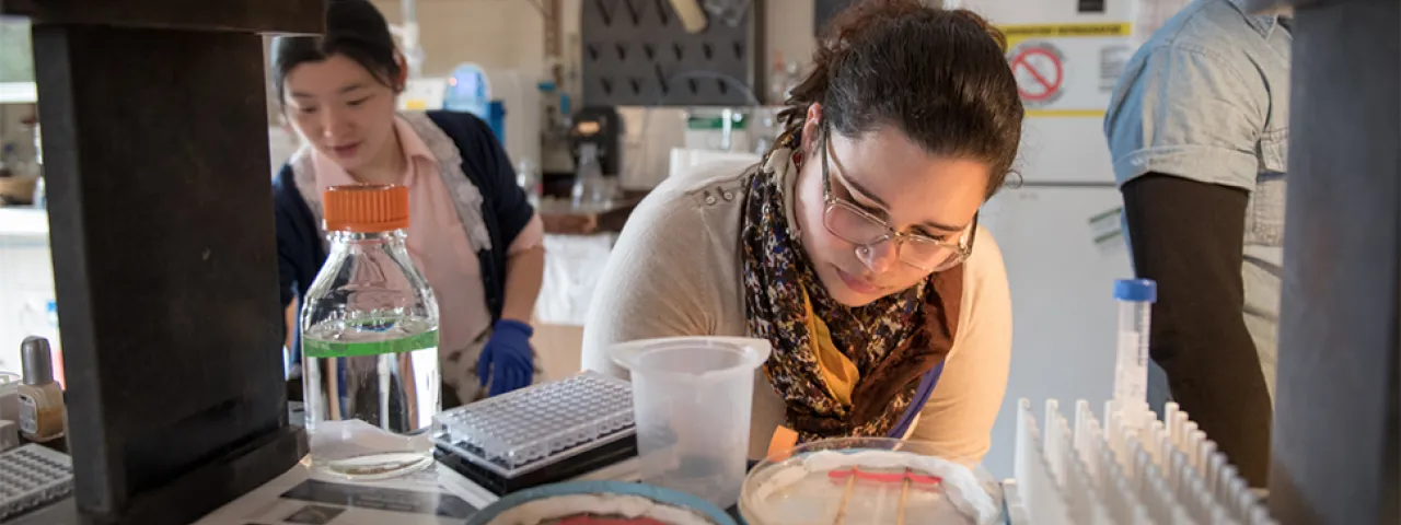 Student doing research in a science lab