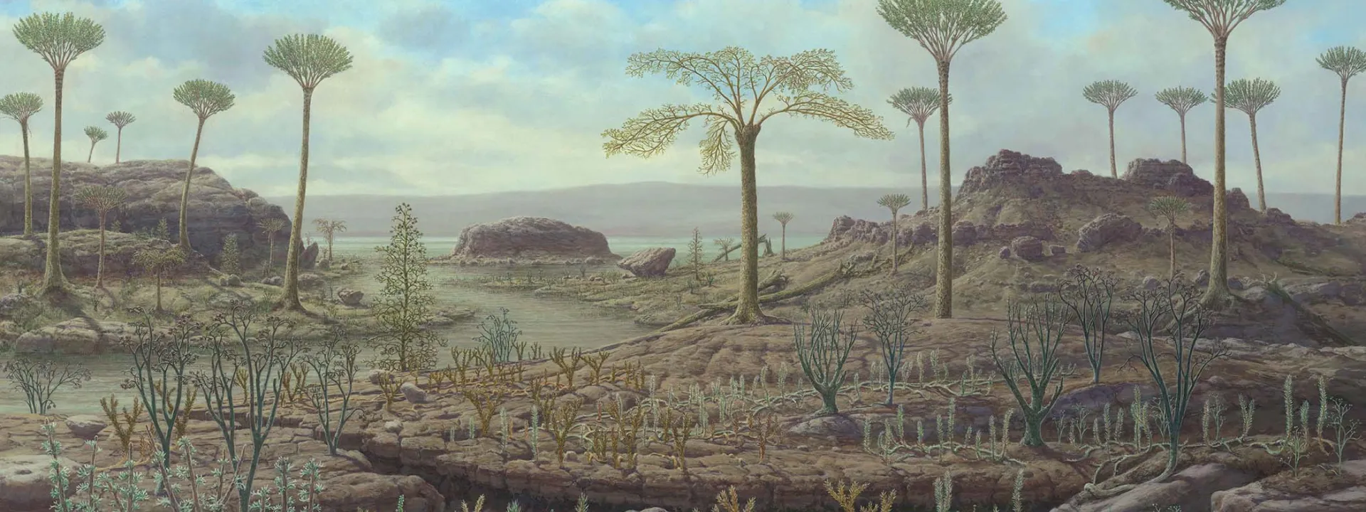 panel of plant evolution
