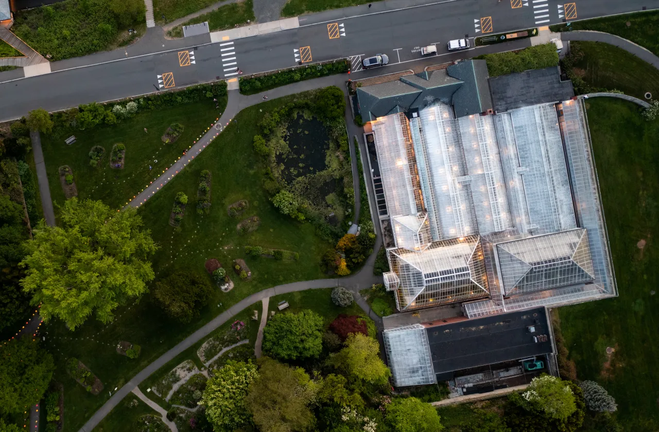 Lyman from above