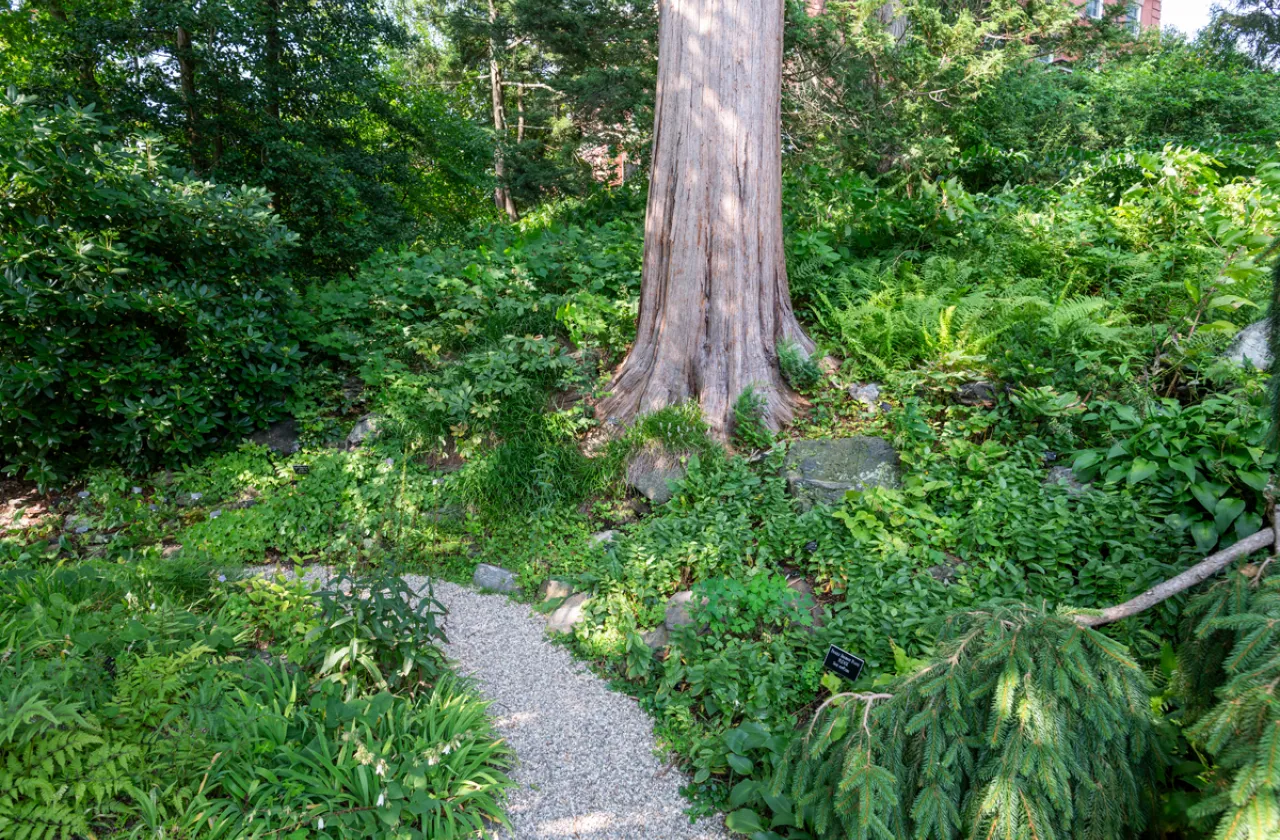 gardens