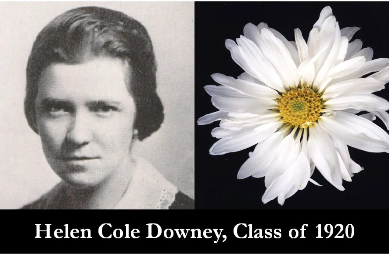 1920 mum show winner