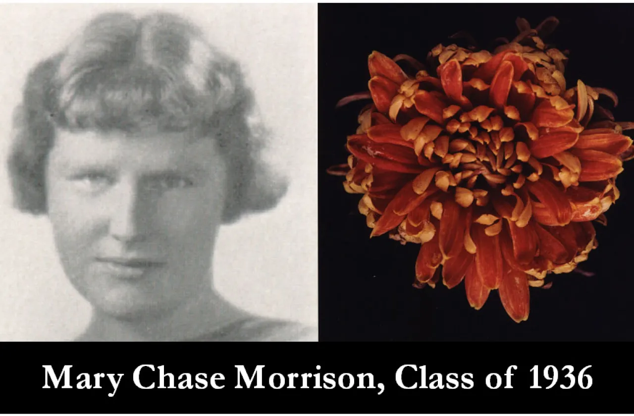 1930s mum show winner