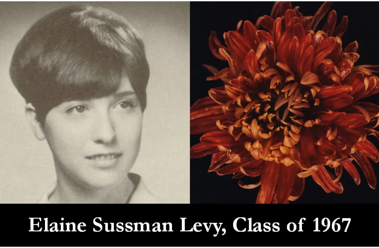 1967 mum show winner