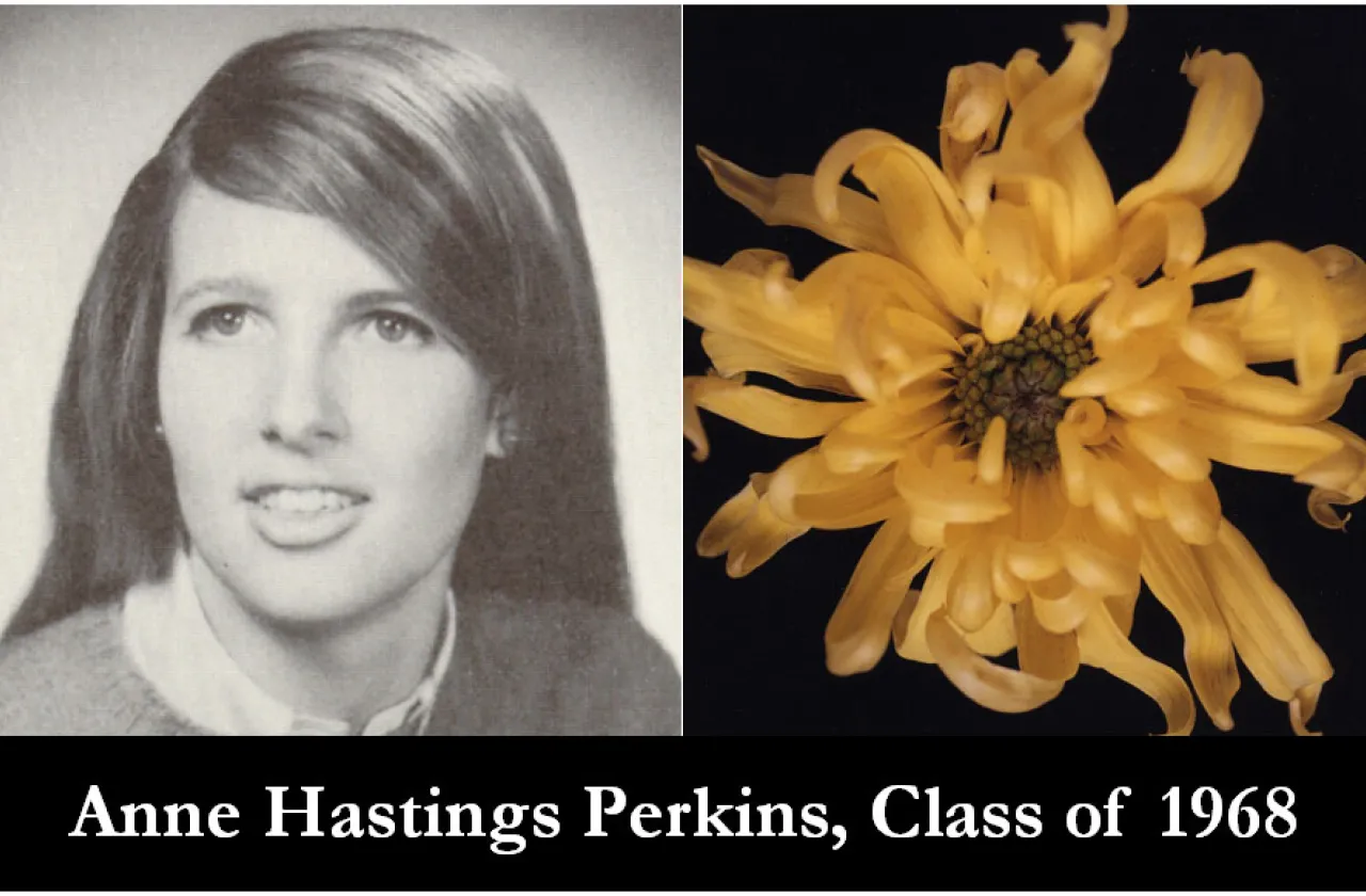 1968 mum show winner