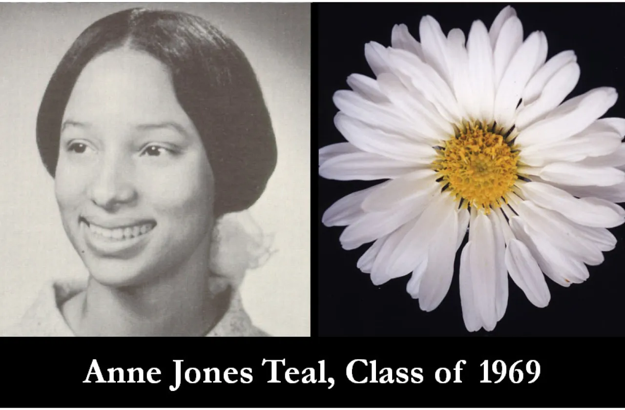 1969 Mum Show Winner