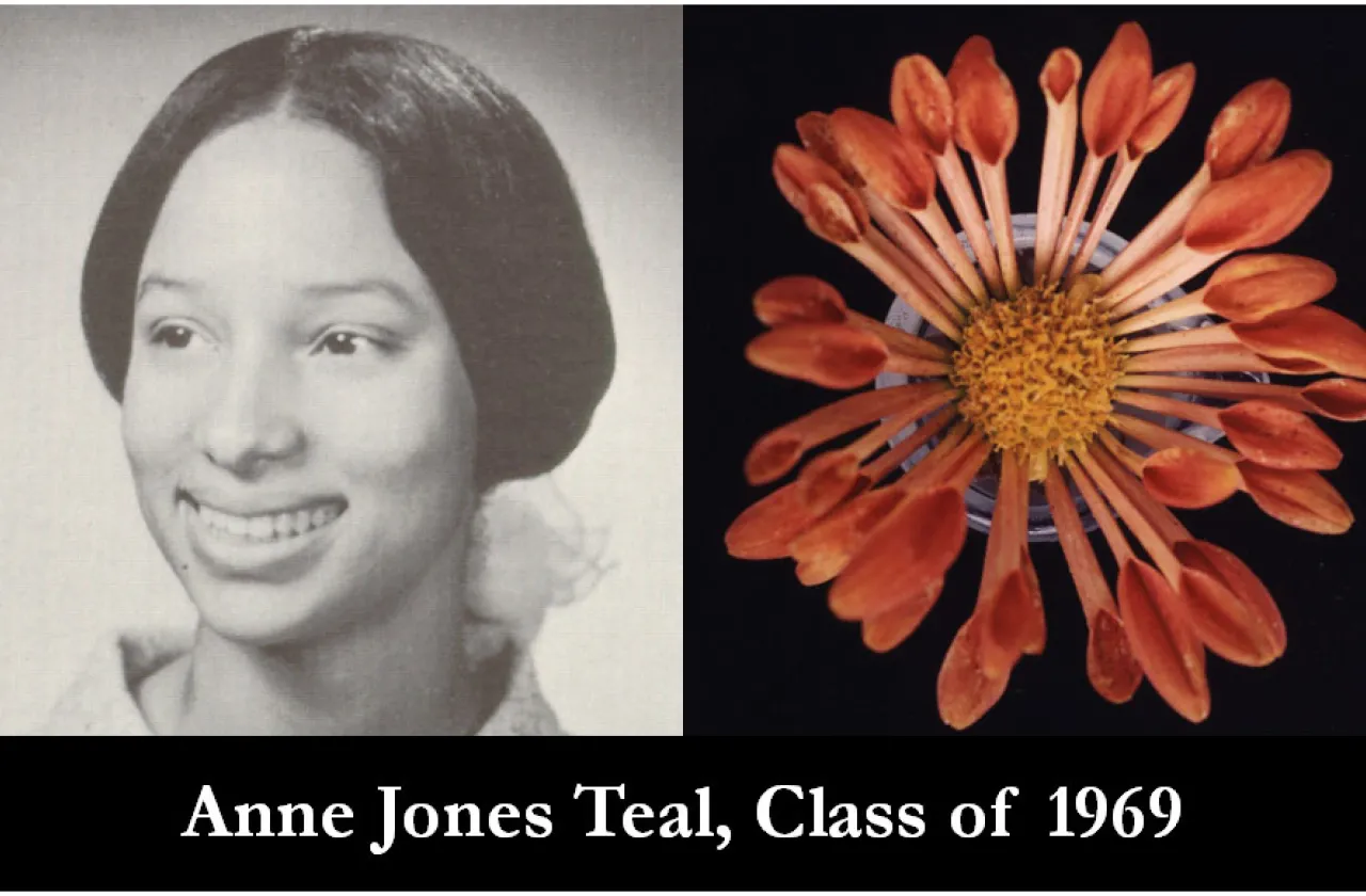 1969 mum show winner