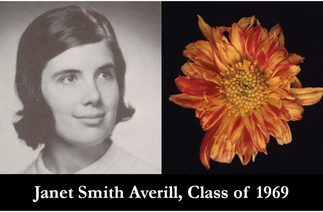 1969 Mum Show Winner