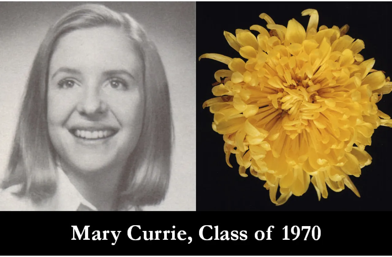 1970 Mum Show Winner