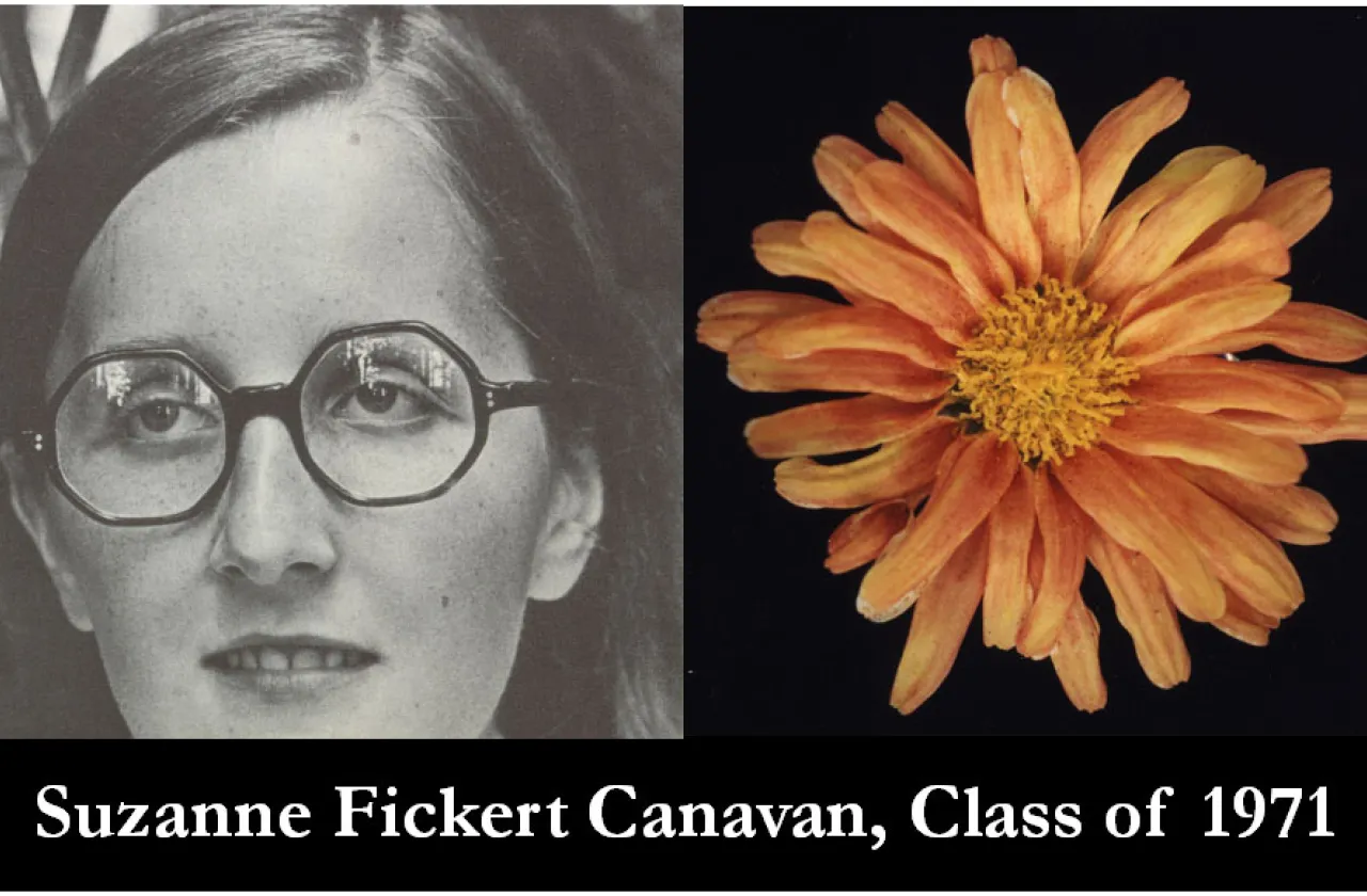 1971 Mum Show Winner