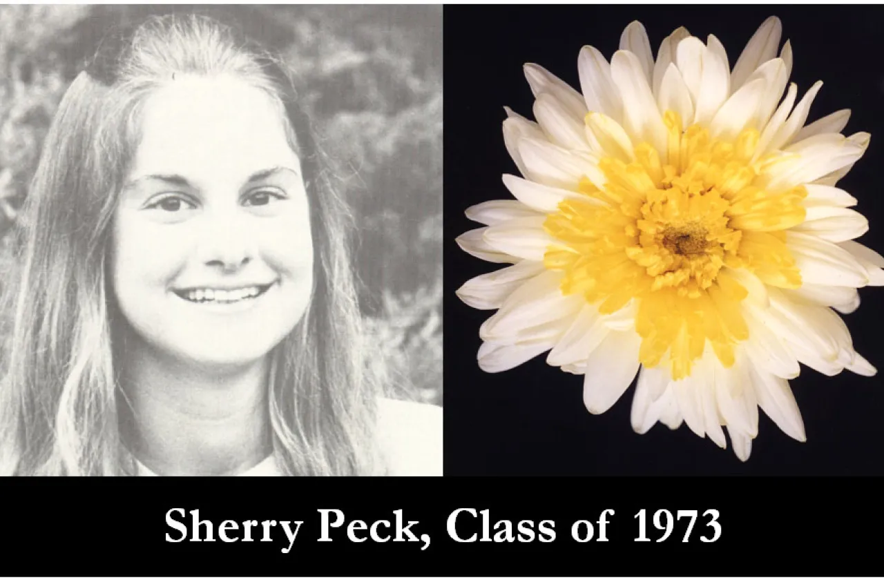 1973 Mum Show Winner