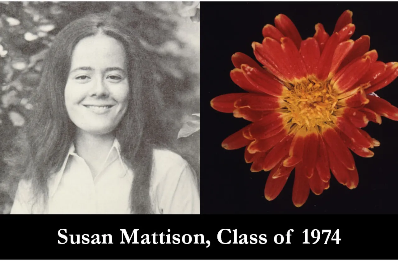 1974 Mum Show Winner