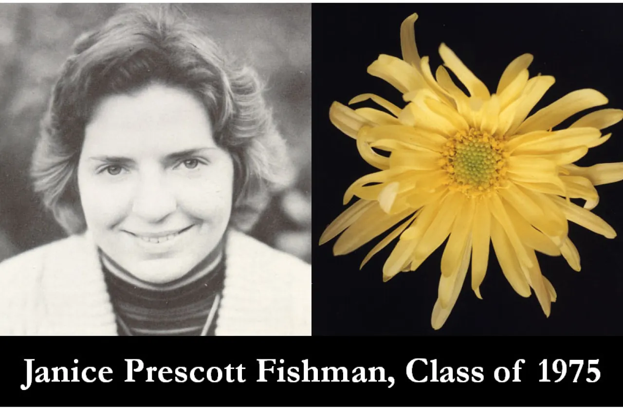 1975 Mum Show Winner