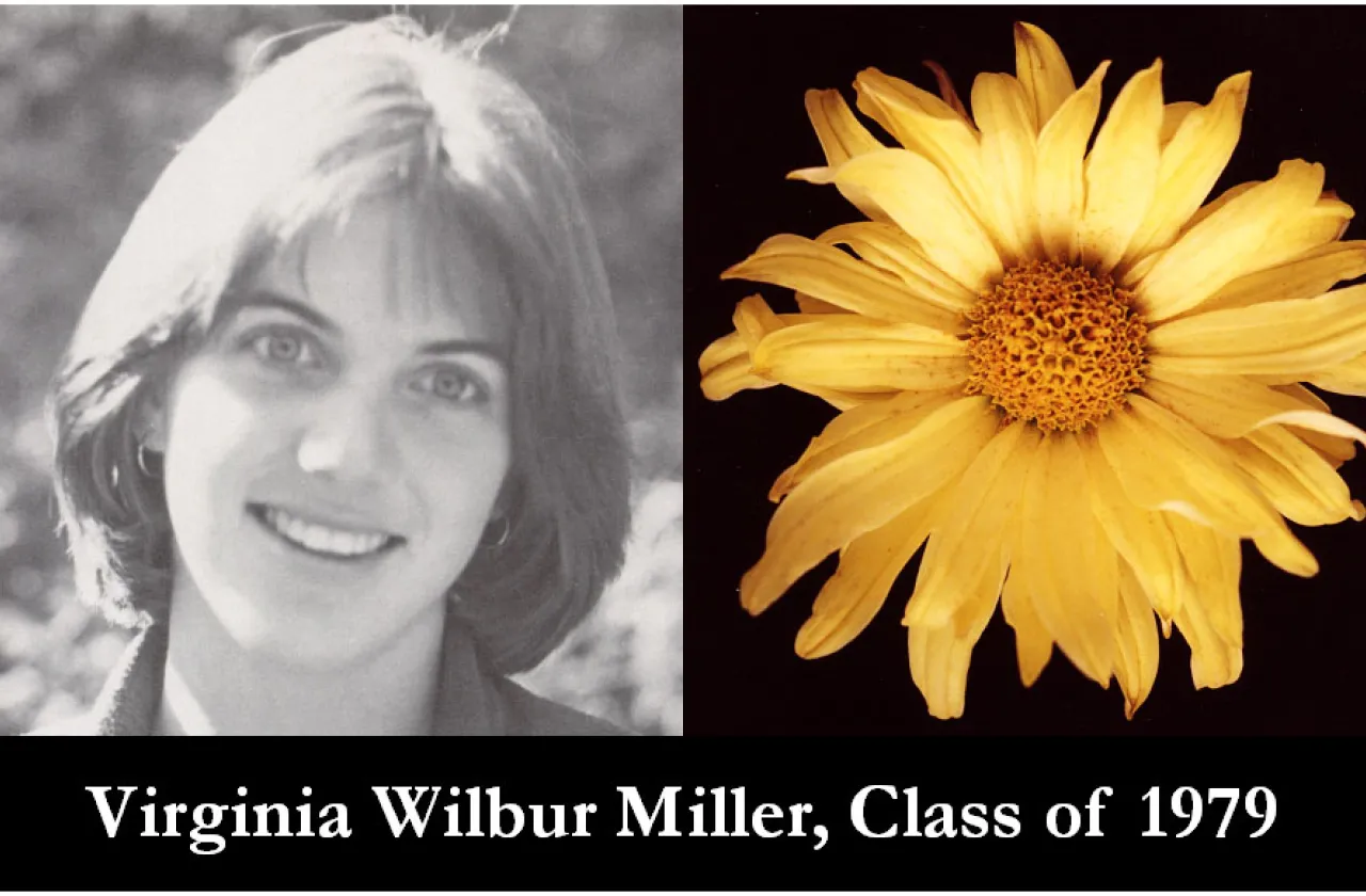 1979 Mum Show Winner