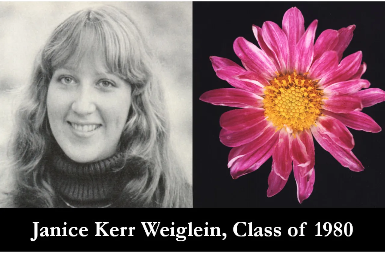 1980 Mum Show Winner