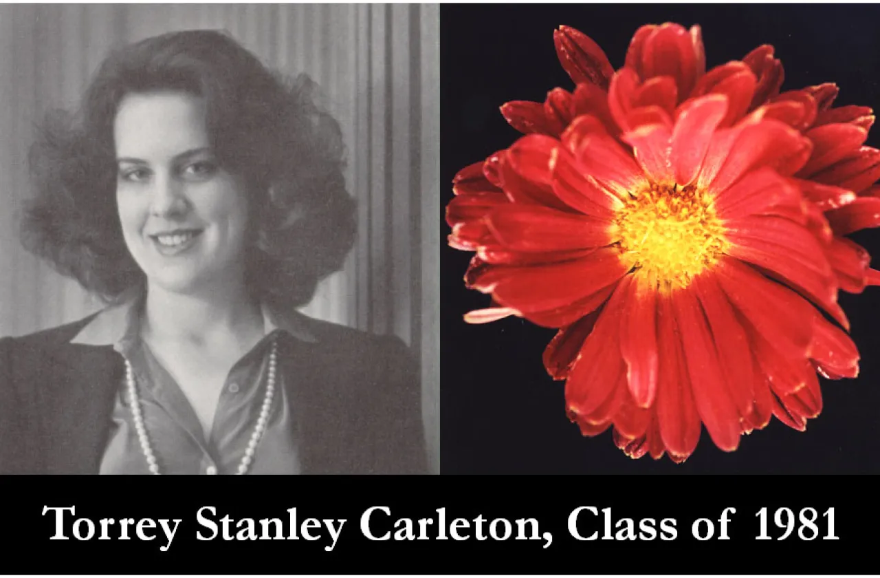 1981 Mum Show Winner