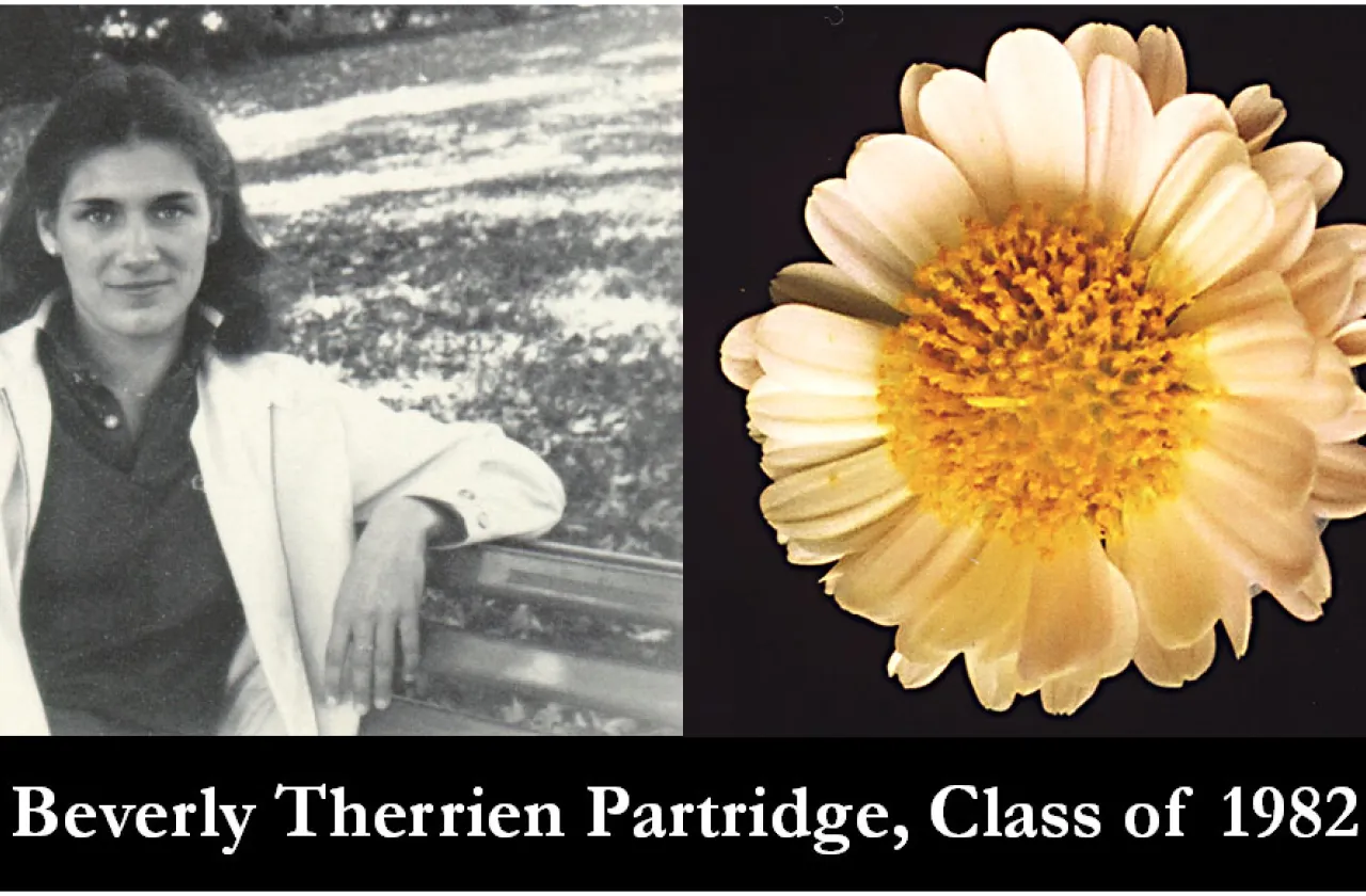 1982 Mum Show Winner