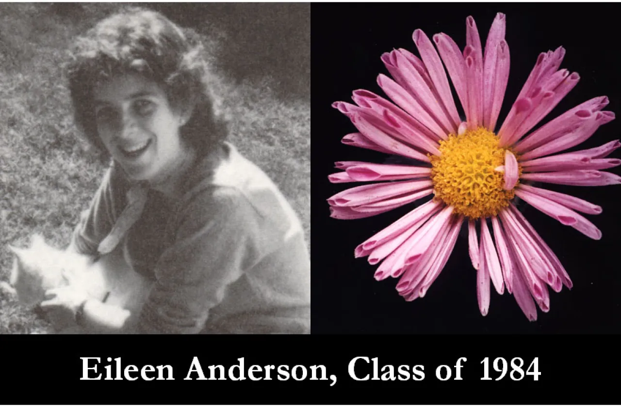 1984 Mum Show Winner