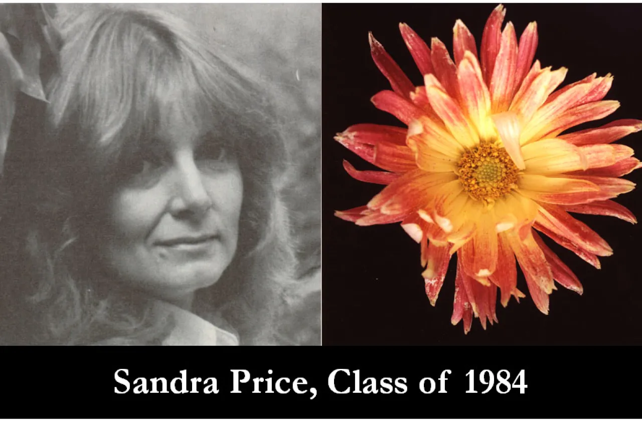 1984 Mum Show Winner