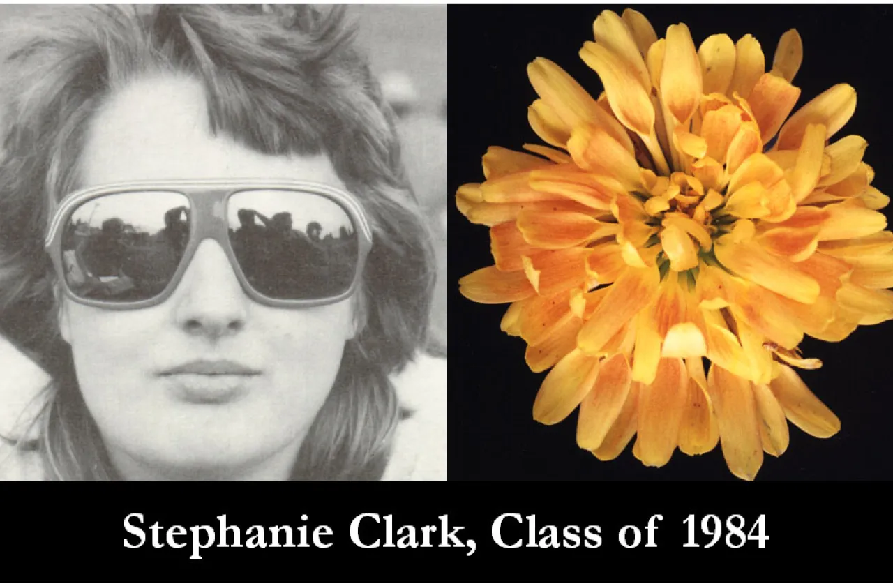 1984 Mum Show Winner