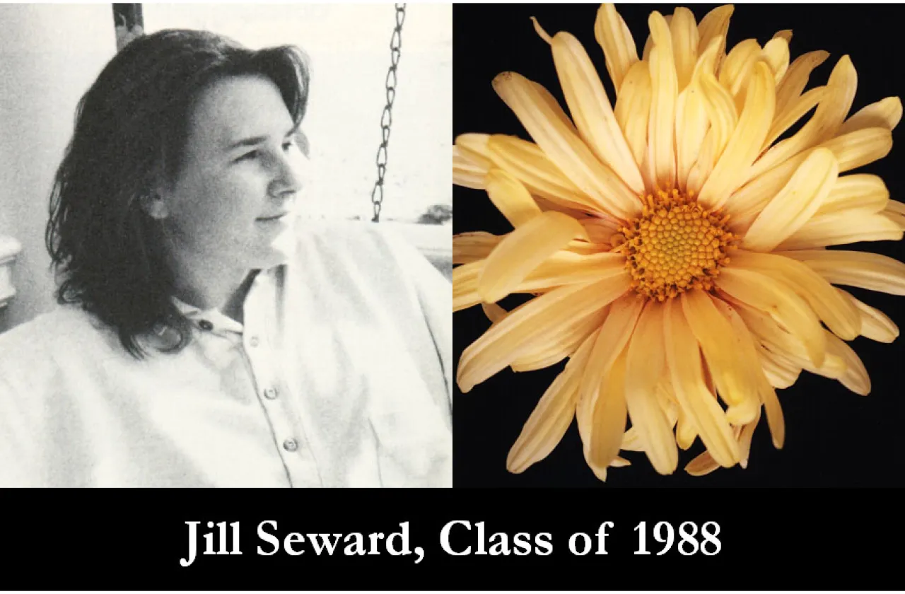 1988 Mum Show Winner