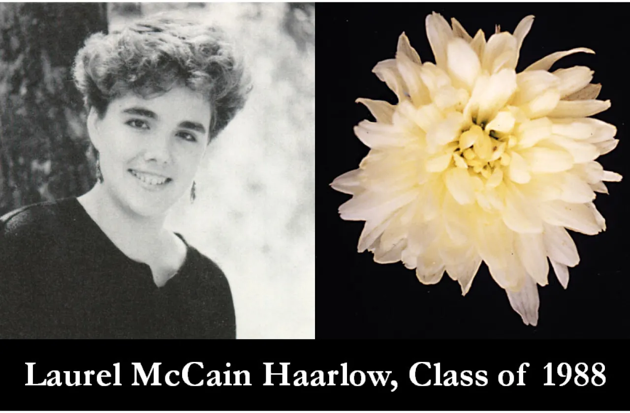 1988 Mum Show Winner