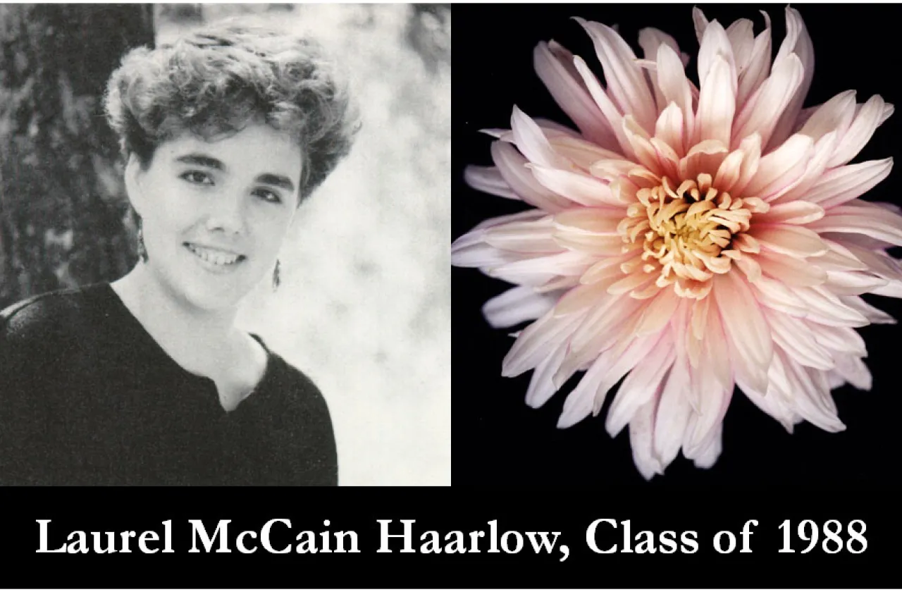 1988 Mum Show Winner