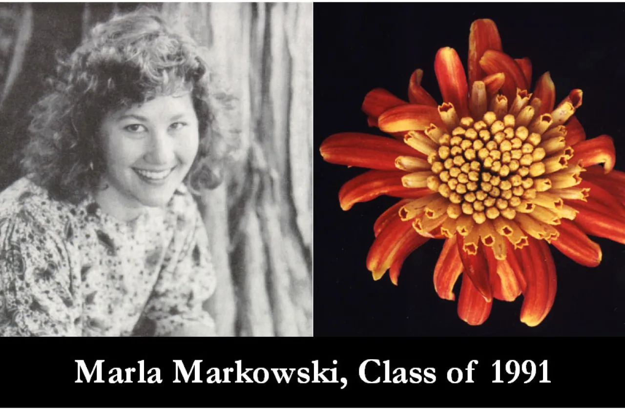 1991 Mum Show Winner