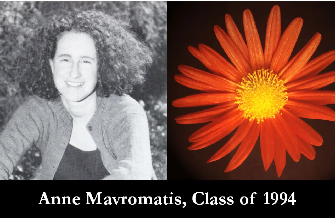 1994 Mum Show Winner