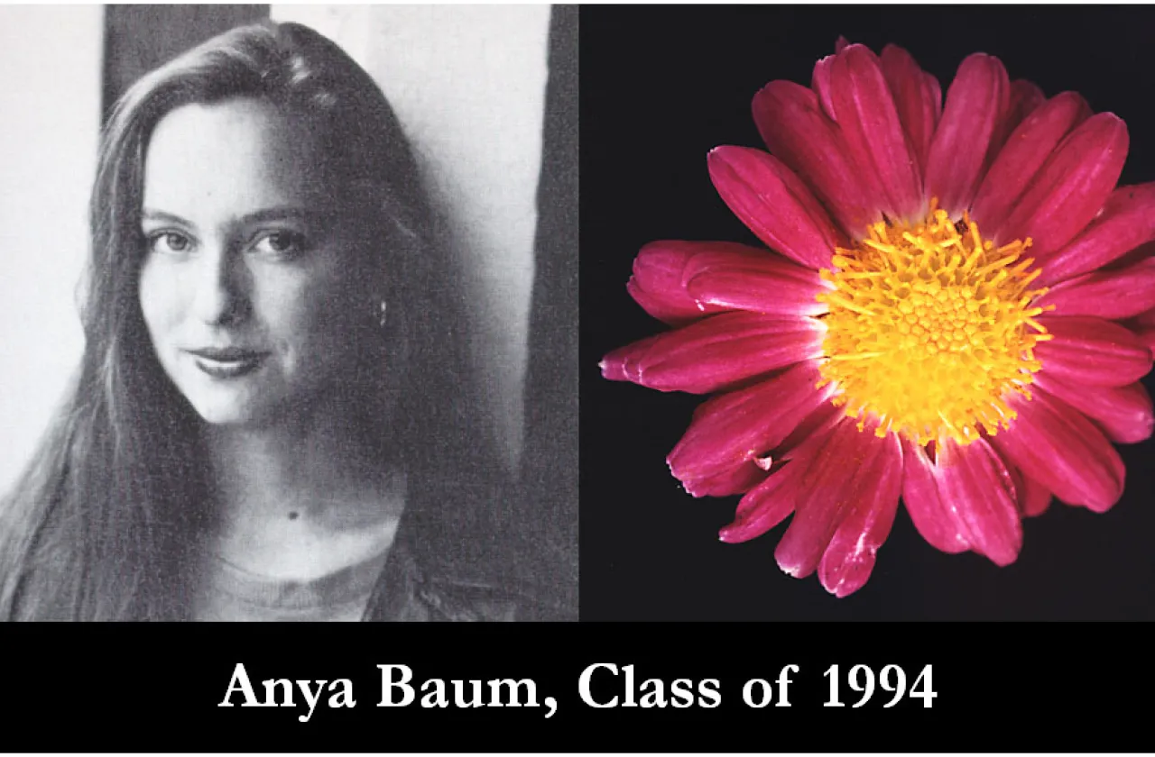 1994 Mum Show Winner