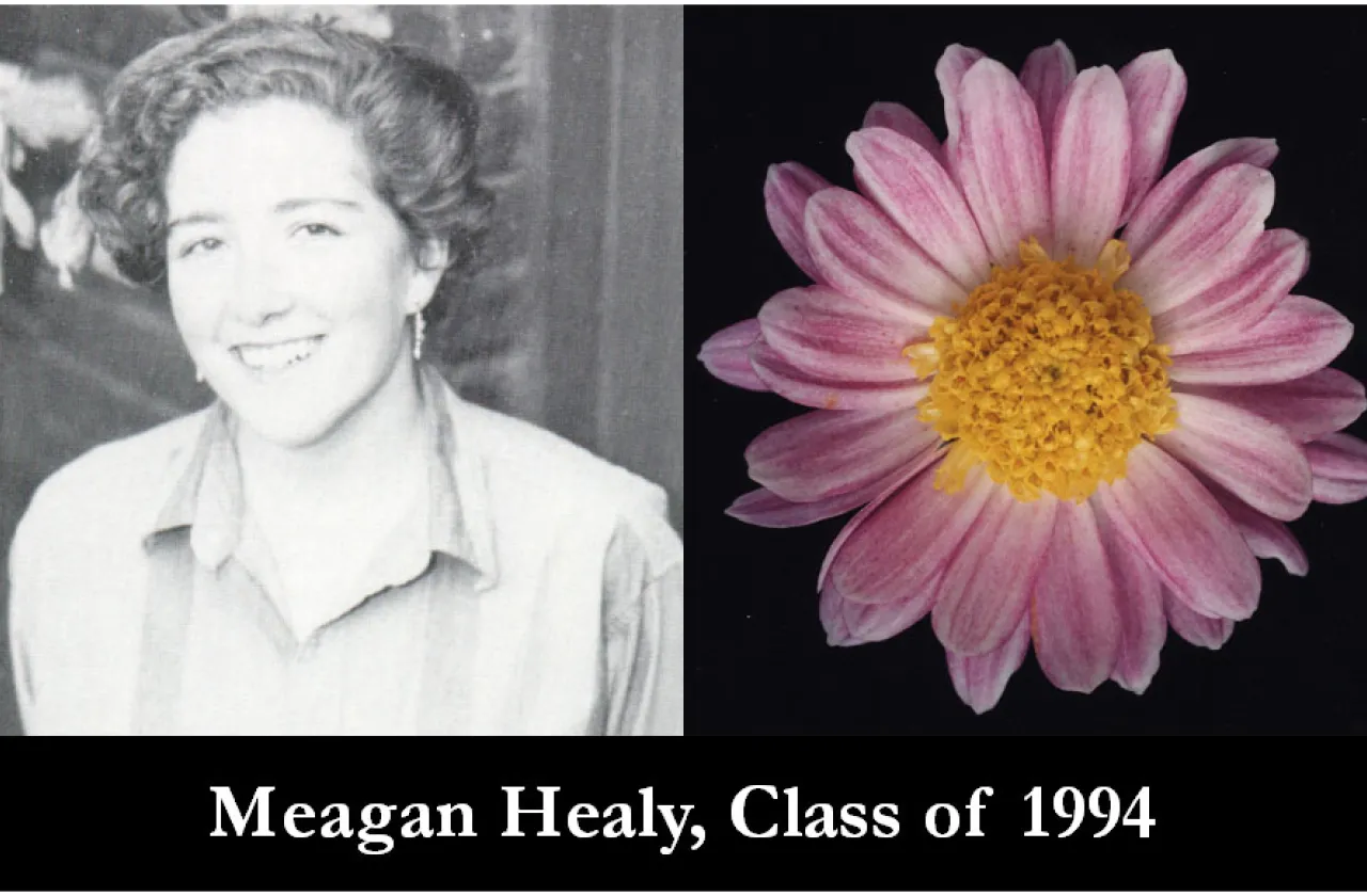 1994 Mum Show Winner