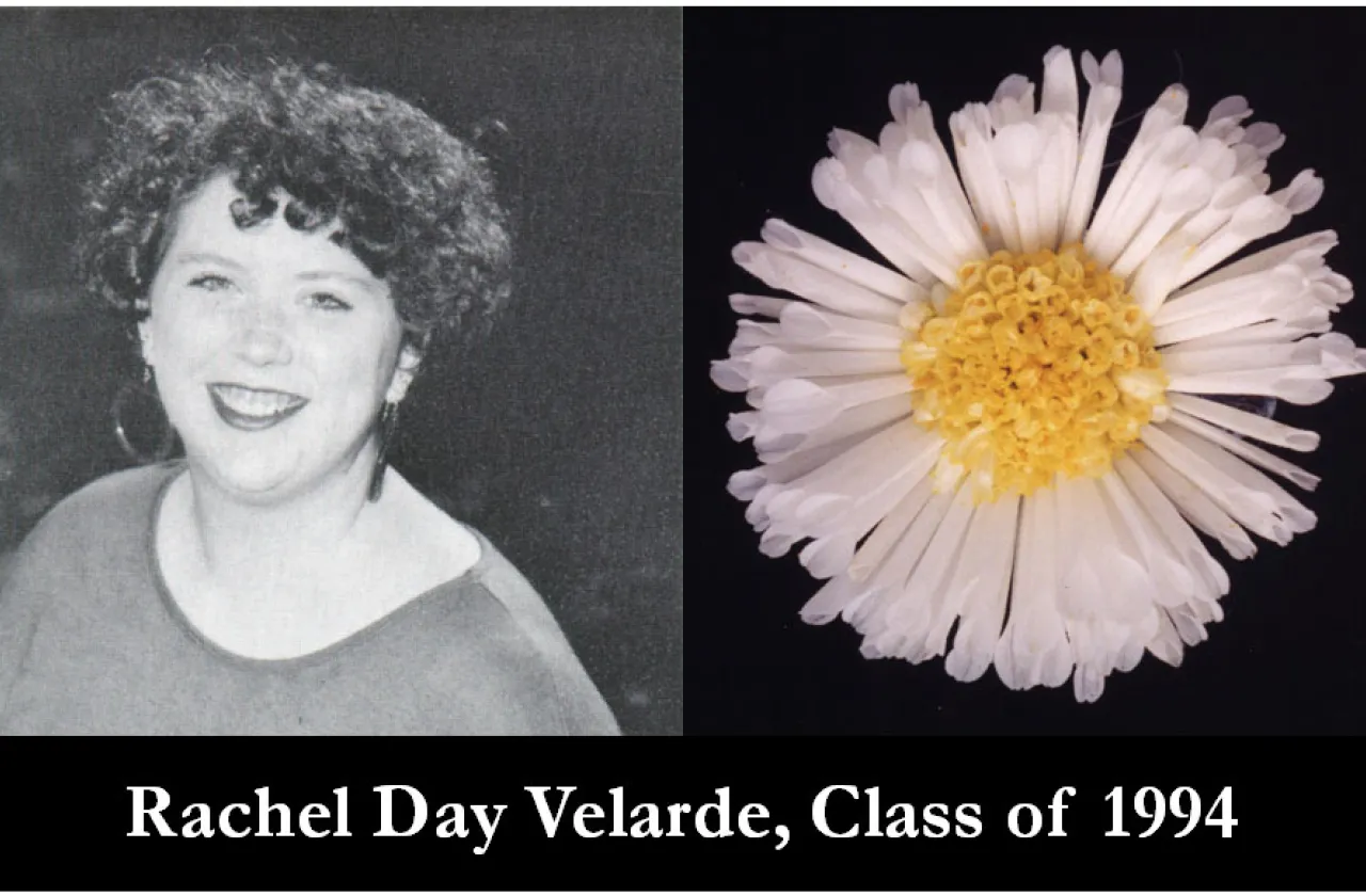 1994 Mum Show Winner