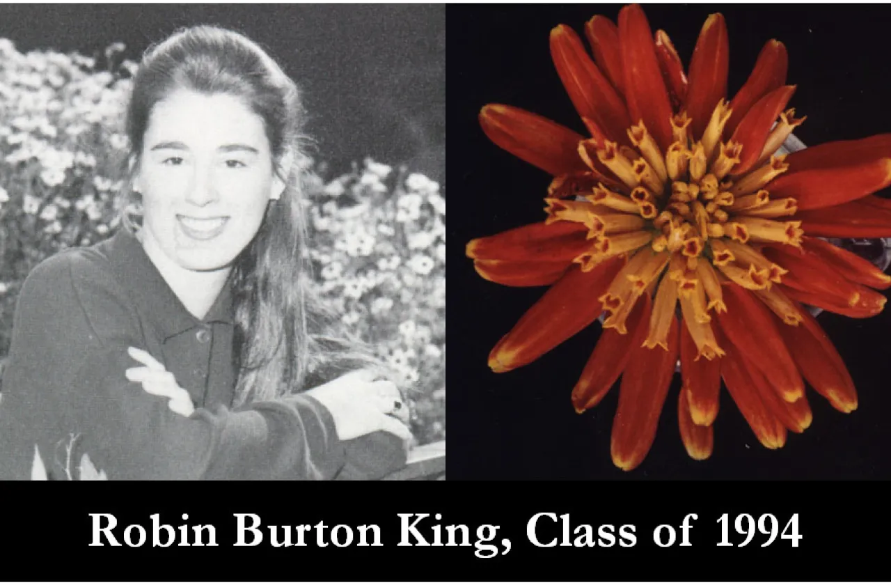 1994 Mum Show Winner