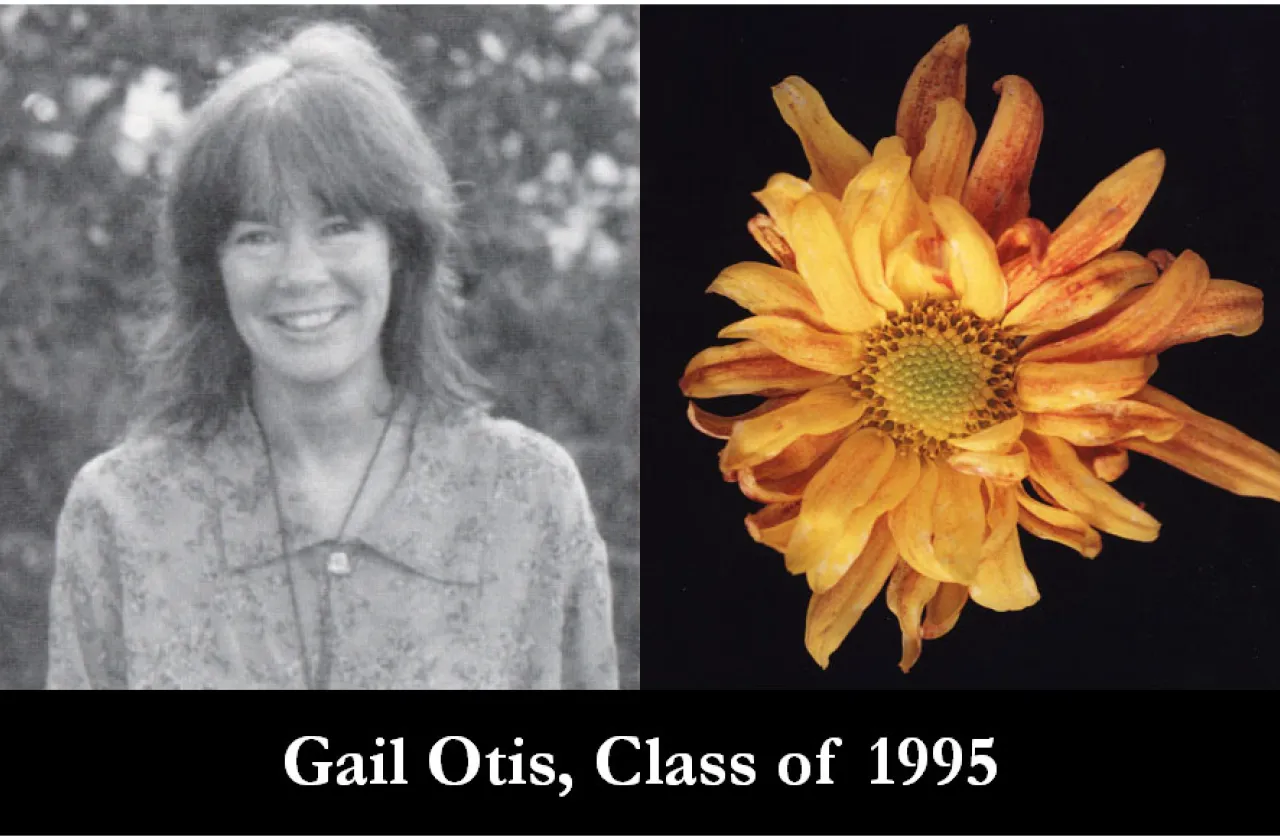 1995 Mum Show Winner