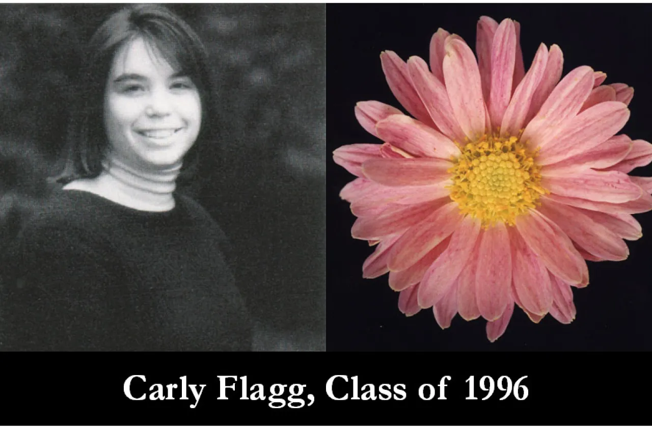 1996 Mum Show Winner