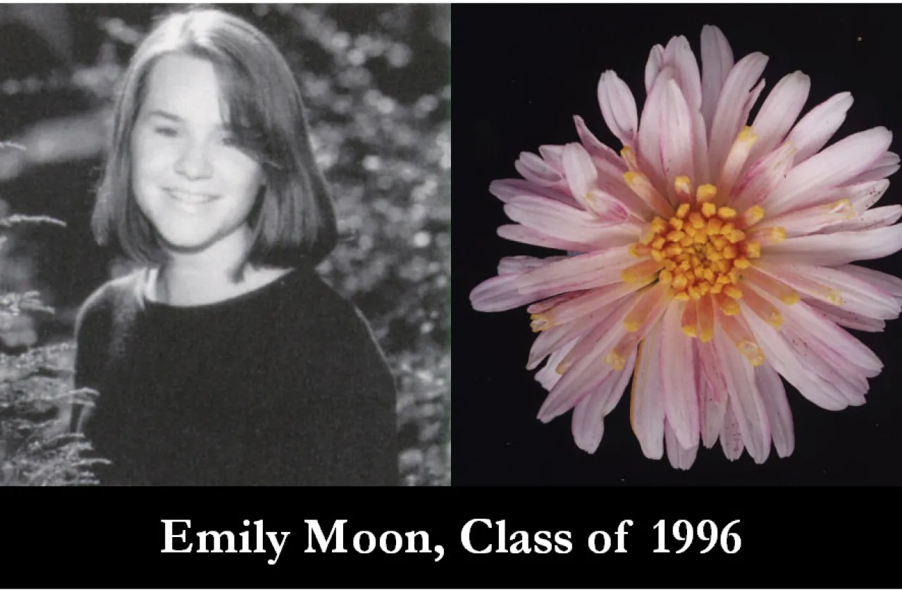 1996 Mum Show Winner