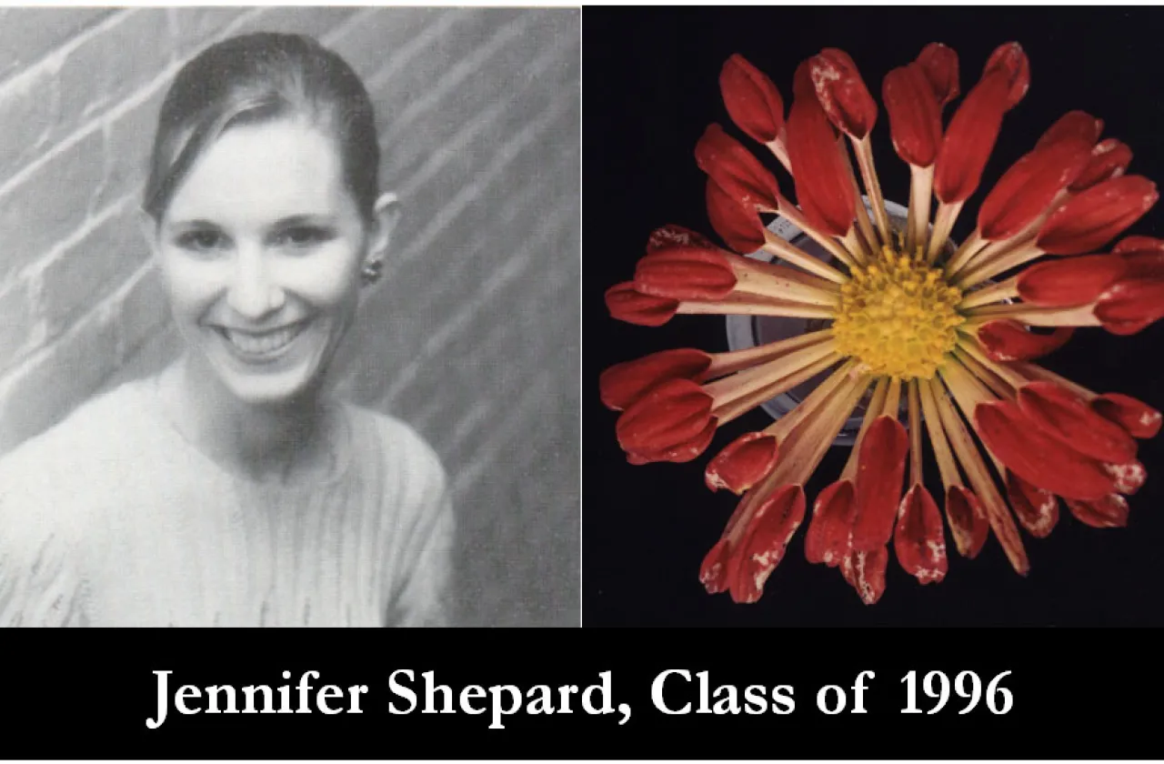 1996 Mum Show Winner