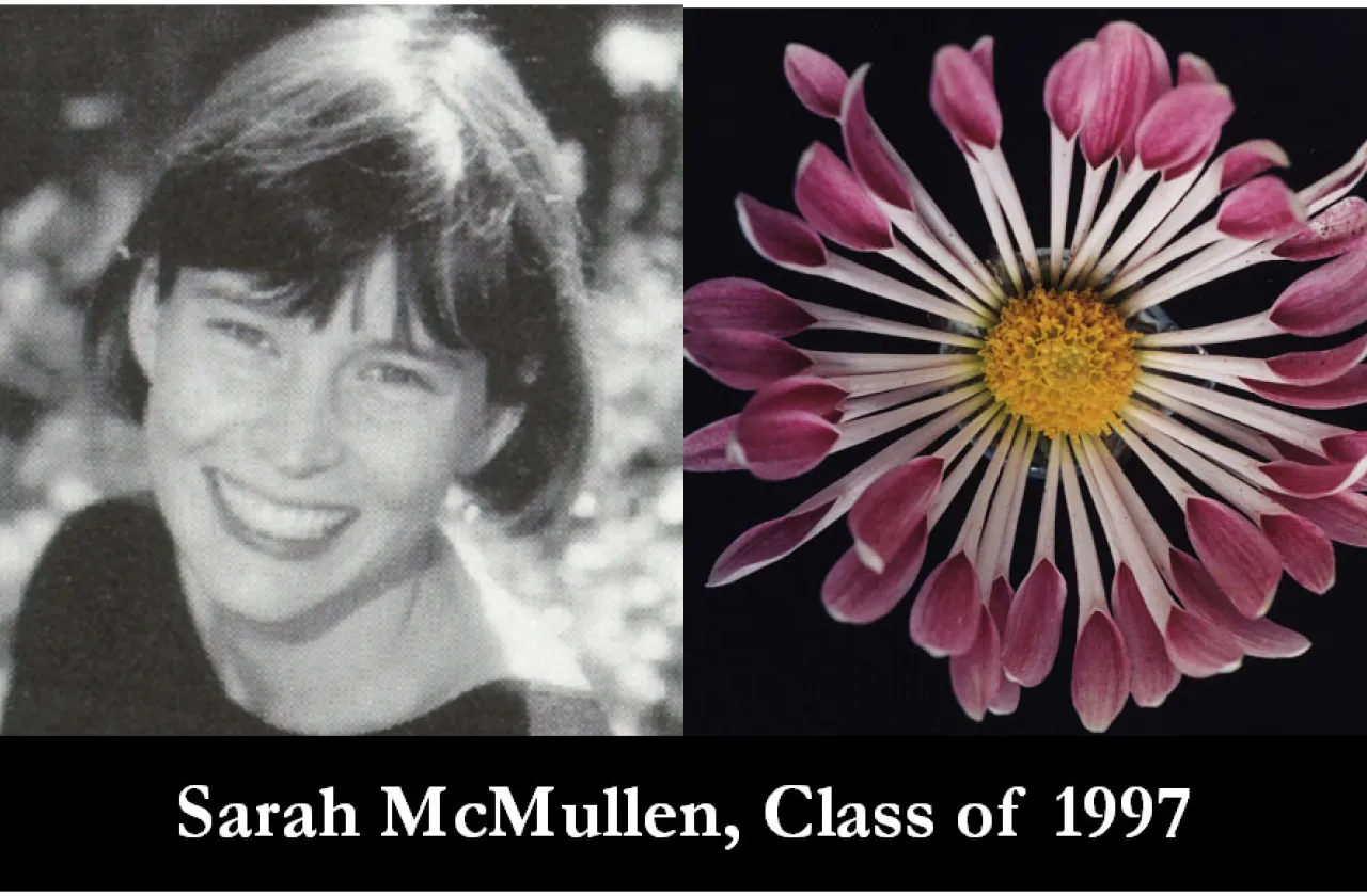 1997 Mum Show Winner