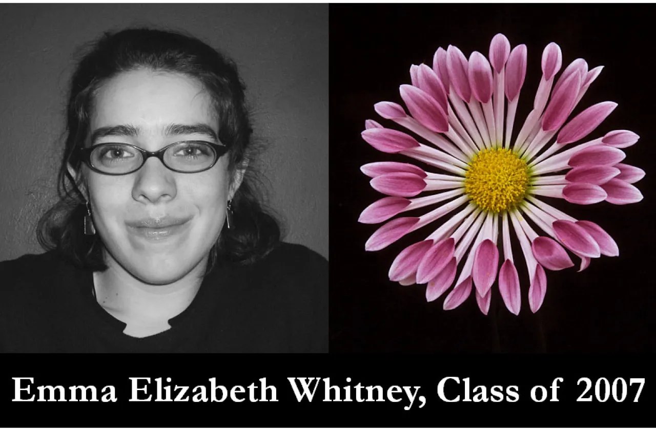 2007 Mum Show Winner