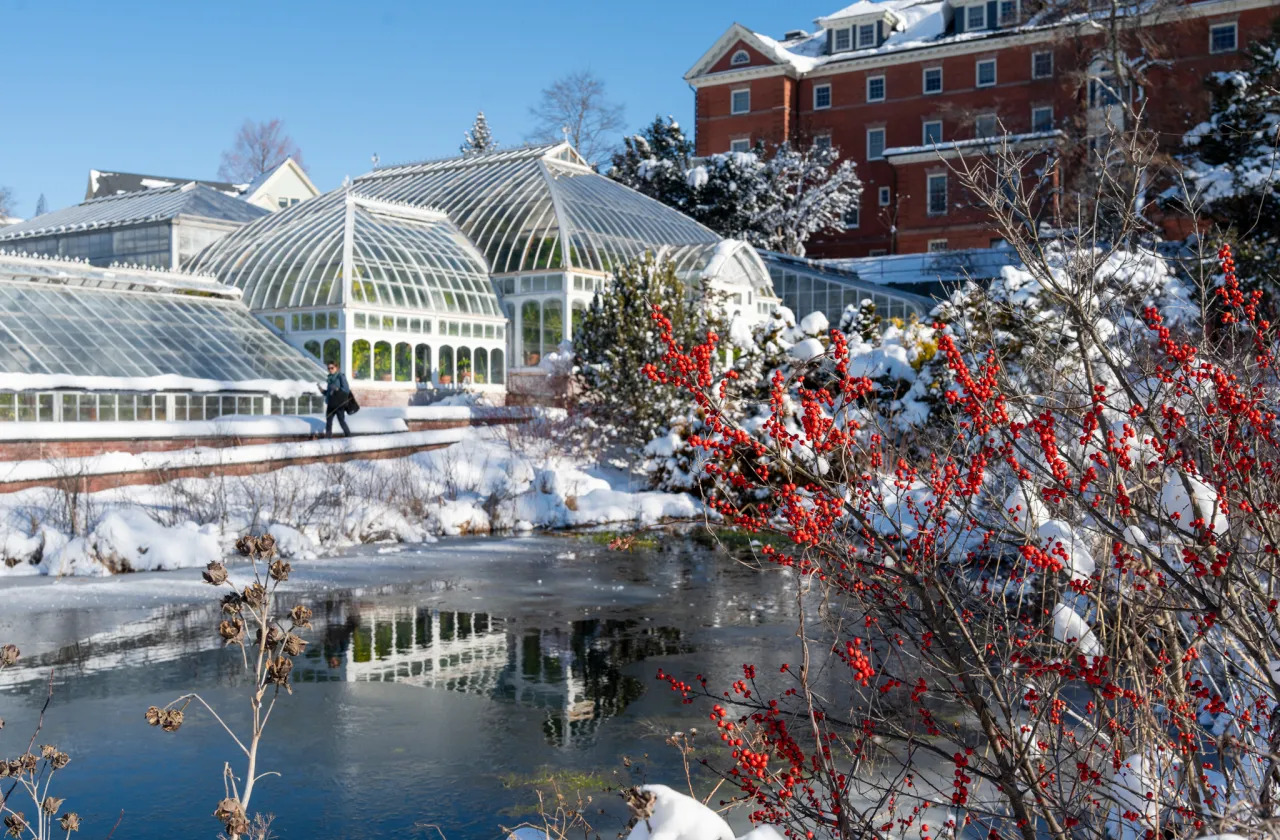 Snow covering the Lyman Plant House