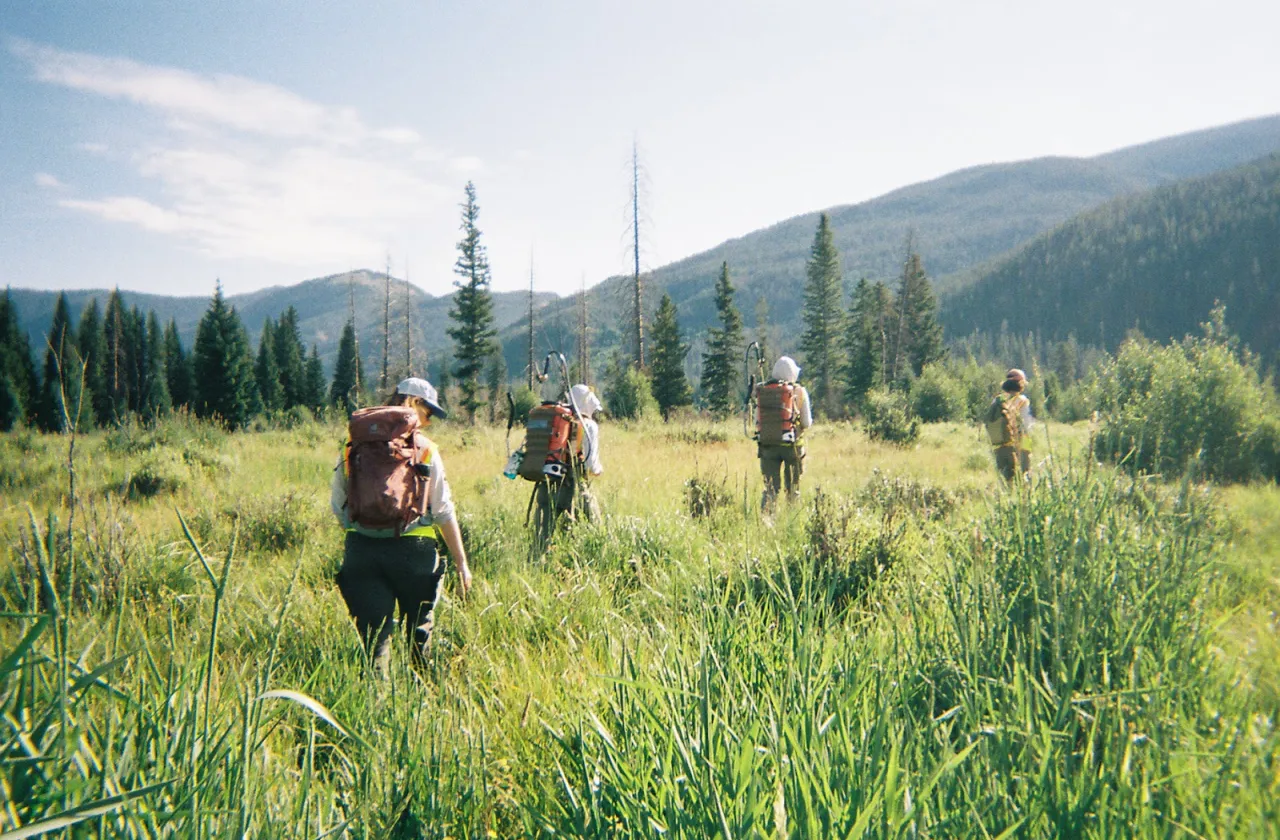Field with five people walking it, backdrop of Colorado mountains