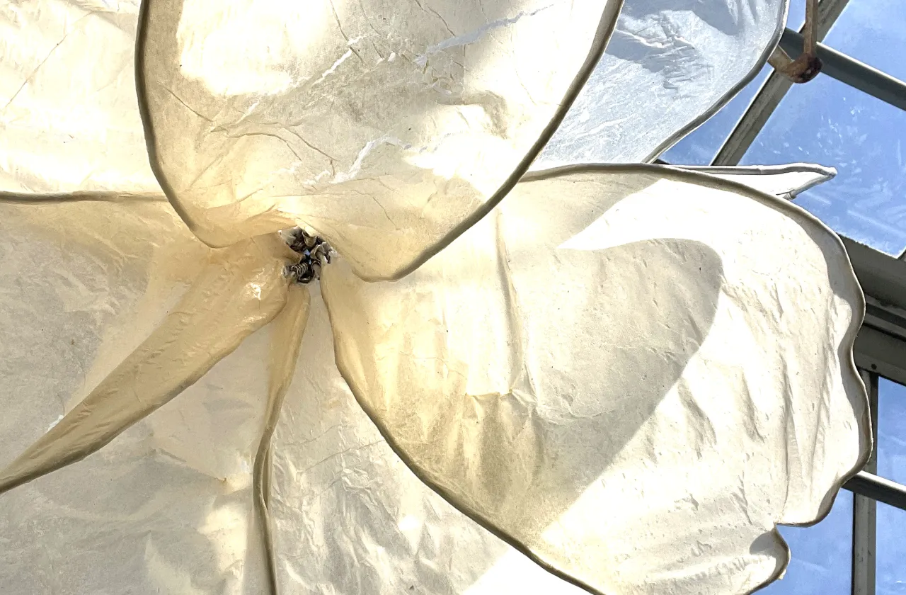 Close up of paper covered flower sculpture against blue sky.