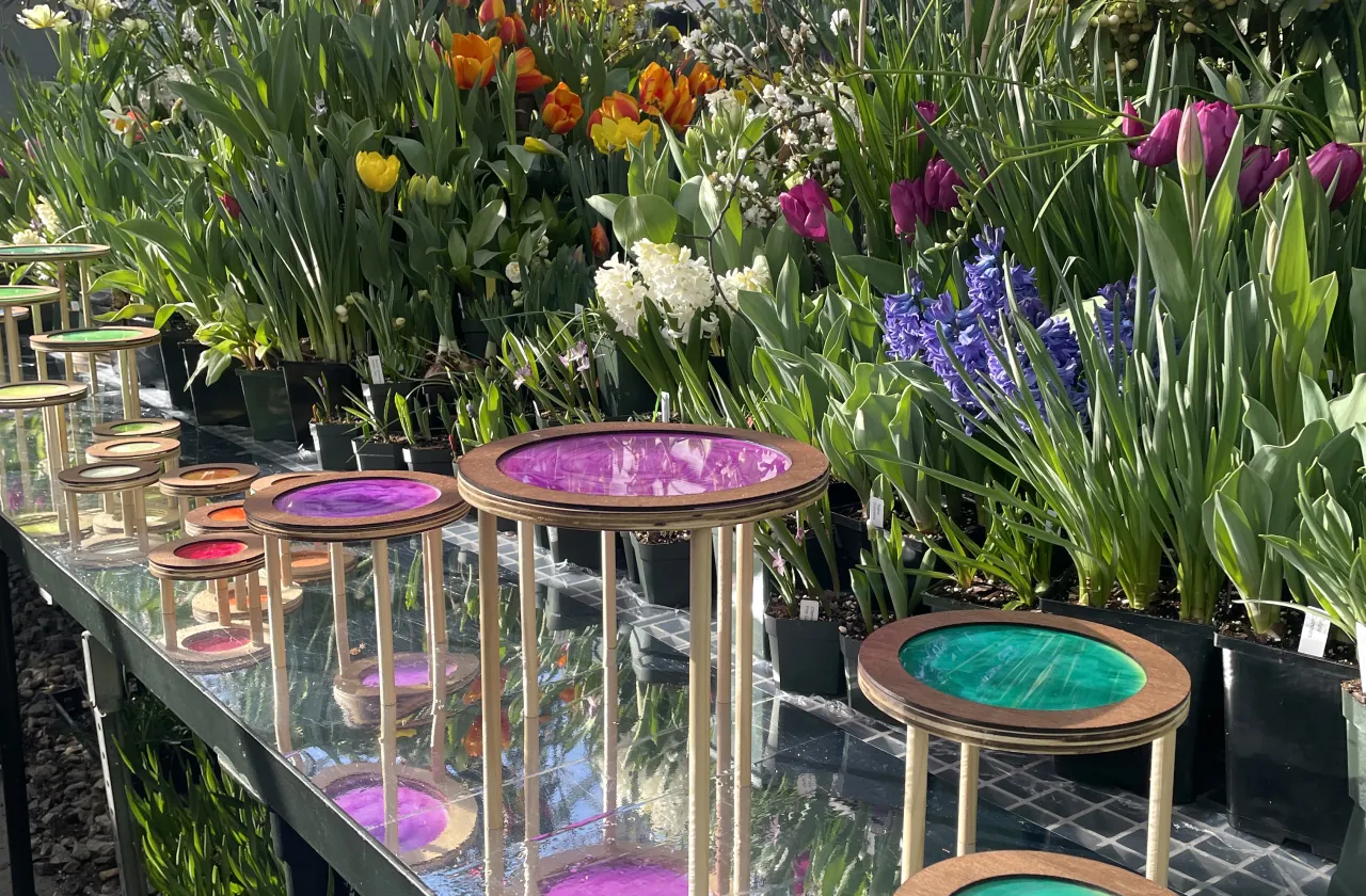 wooden structures with painted colors on them in front of a backdrop of bulb flowers in bloom.