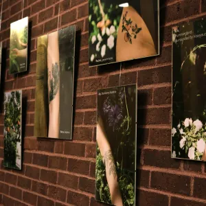 botanical bodies