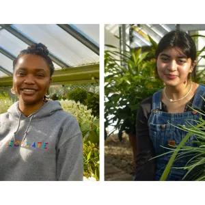 conservation interns