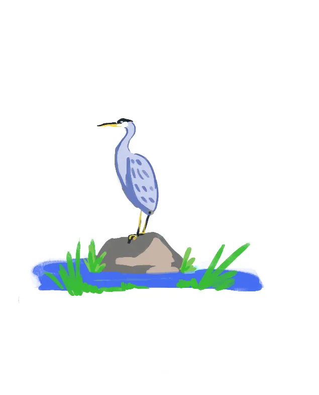 heron