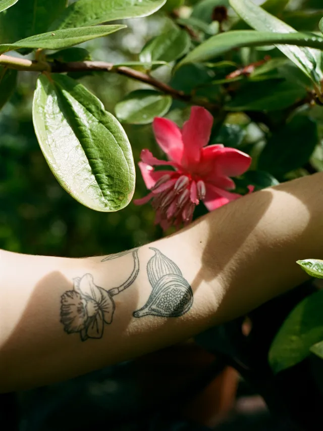 botanical tattoo