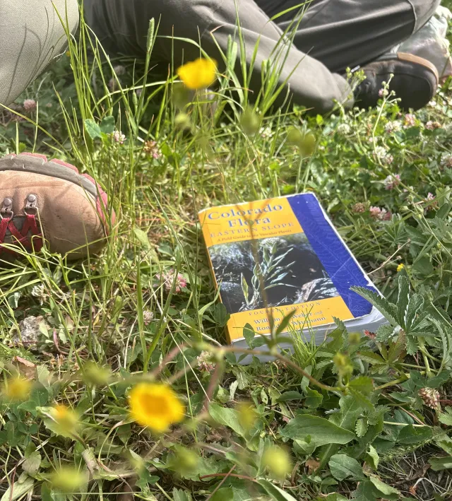 field guide in the grass with boots