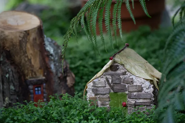Small gnome home constructed of leaves and bark set on a mossy bed in Lyman Plant House. 